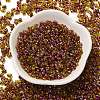 Spray Painted Glass Seed Beads SEED-F005-04A-01-2