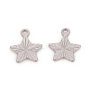 201 Stainless Steel Charms STAS-L244-18P-2