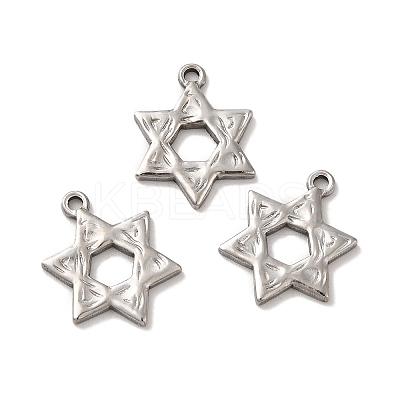 Non-Tarnish 304 Stainless Steel Pendants LS-STAS-Q001-02P-1