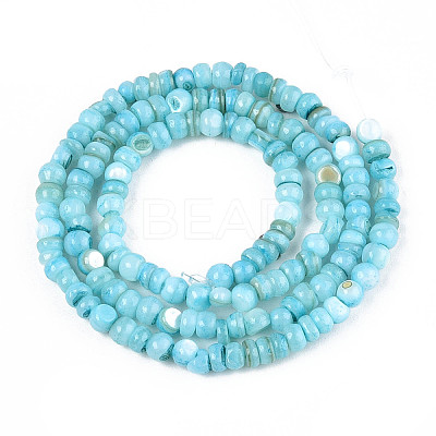 Natural Freshwater Shell Dyed Beads Strands SHEL-T020-29A-02-1