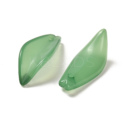 Translucent Acrylic Pendants OACR-Z016-08B-1