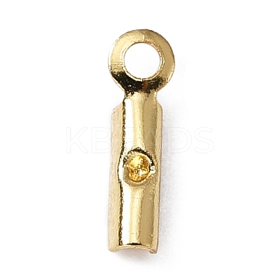 316 Surgical Stainless Steel Folding Crimp Ends FIND-WH0045-45A-1
