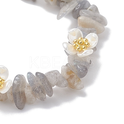 Natural Labradorite Beaded Stretch Bracelets for Women BJEW-JB12315-03-1