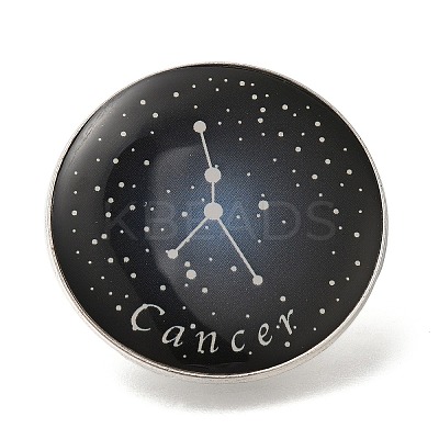Twelve Constellation Creative Alloy Badges Constellation Brooches LS-JEWB-S033-01P-D-1