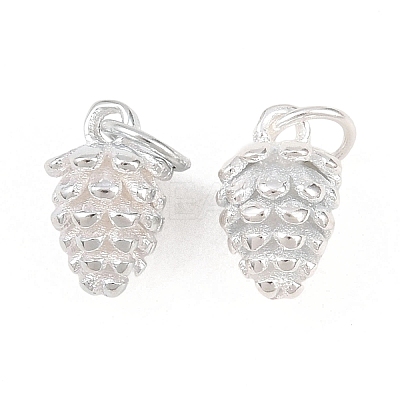 925 Sterling Silver Charms STER-I024-01S-1