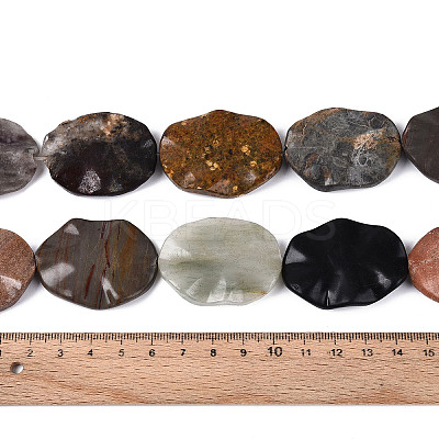 Natural Gemstone Beads Strands G-T143-21C-1