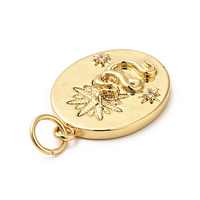Rack Plating Brass Clear Cubic Zirconia Pendants KK-H431-48G-1