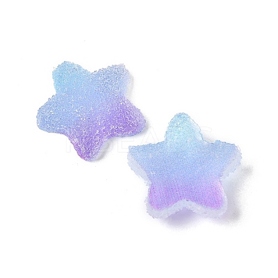 Imitation Candy Food Style Resin Cabochons X1-RESI-R461-02N-1