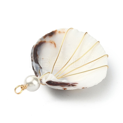 Natural Shell Copper Wire Wrapped Pendants PALLOY-TA00078-03-1