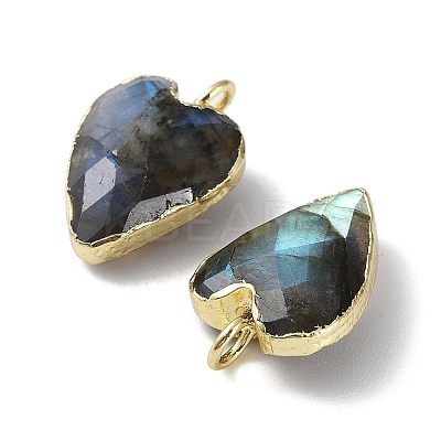Natural Labradorite Pendants G-G012-11G-06-1