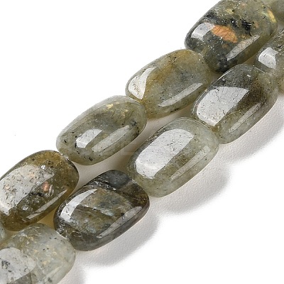 Natural Labradorite Beads Strands G-K357-D16-01-1