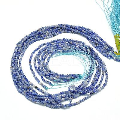 Natural Sodalite Beads Strands G-J002-09-1