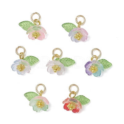 Transparent Resin & Acrylic Pendants PALLOY-JF04358-1