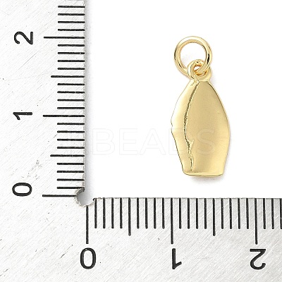 Brass Virgin Mary Charms KK-K368-62G-1