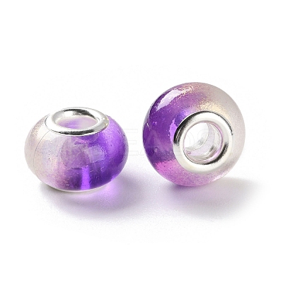 Two Tone Resin European Beads RESI-M001-02G-1