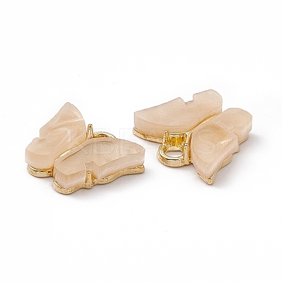 Acrylic Charms MACR-C012-01KCG-08-1