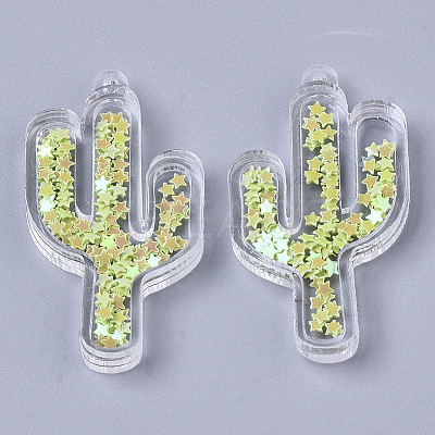 Transparent Acrylic Pendants TACR-R145-01-1