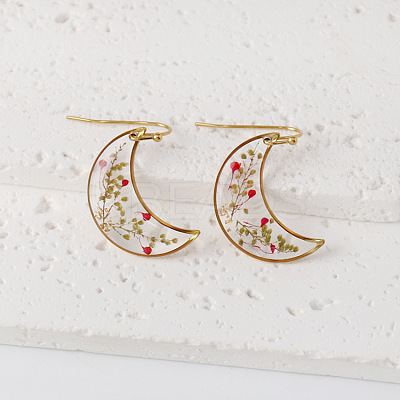Moon 304 Stainless Steel Dangle Earrings WG43EF9-08-1