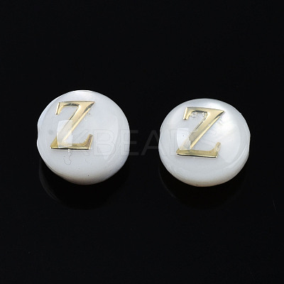 Natural Freshwater Shell Beads SHEL-S278-036Z-1