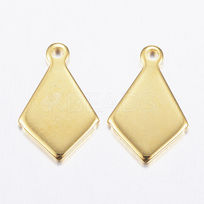 304 Stainless Steel Charms X-STAS-P142-10G-1