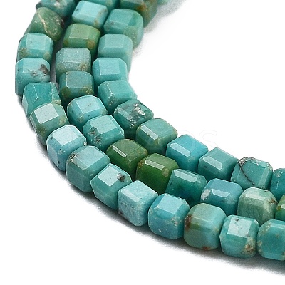 Natural HuBei Turquoise Beads Strands G-H042-B34-01-1