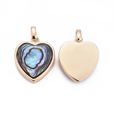 Natural Abalone Shell/Paua ShellCharms X-BSHE-F011-04B-G-1