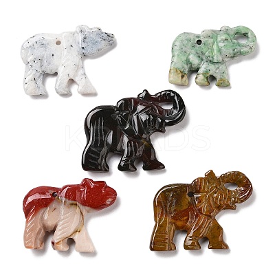 Natural Red Jasper/Unakite/Dyed & Heated Black Agate/Agate Animal Carved Pendants G-K383-02-1