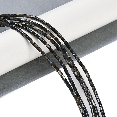 Natural Freshwater Shell Beads Strands BSHE-H109-17E-1