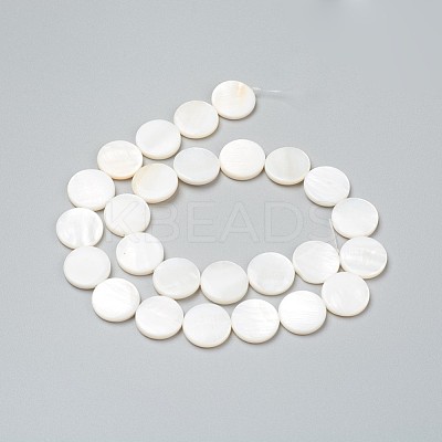 Natural Freshwater Shell Beads BSHE-I011-01B-02-1