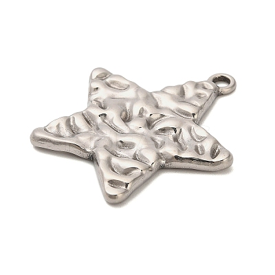 304 Stainless Steel Pendants STAS-P417-04B-P-1