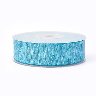 Polyester Ribbons SRIB-L051-25mm-C007-1