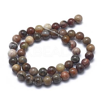 Natural Petrified Wood Beads Strands LS-G-I254-07B-1