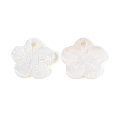 Natural Freshwater Shell Carved Flower Charms SHEL-N038-10-1