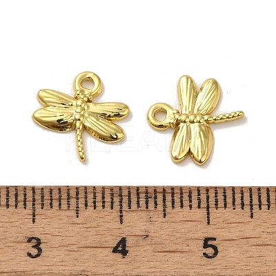 304 Stainless Steel Charms STAS-Q322-16G-1