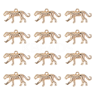 12Pcs Brass Charms KK-GO0002-28-1