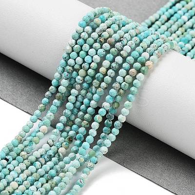 Natural HuBei Turquoise Beads Strands LS-G-G792-38-01-1