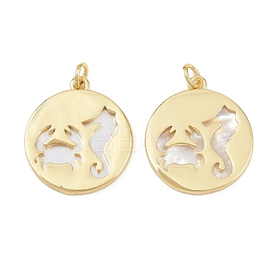 Natural Shell Pendants KK-L251-44G-B-1