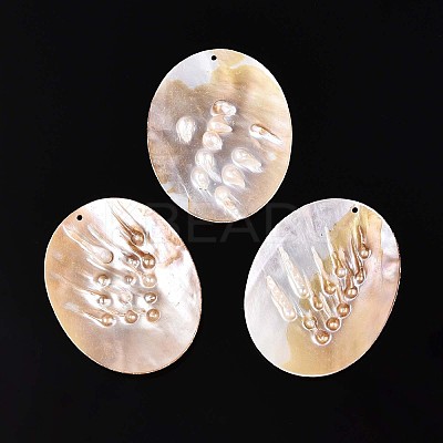 Natural Freshwater Pearl and Freshwater Shell Big Pendants SHEL-T020-52-1
