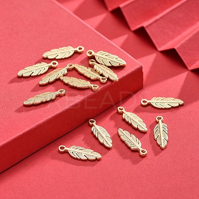 Tibetan Style Alloy Charms LS-X-TIBEP-S317-10MG-NR-1