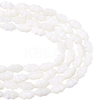 2 Strands Natural Trochus Shell Beads Strands SHEL-TA0001-20-1