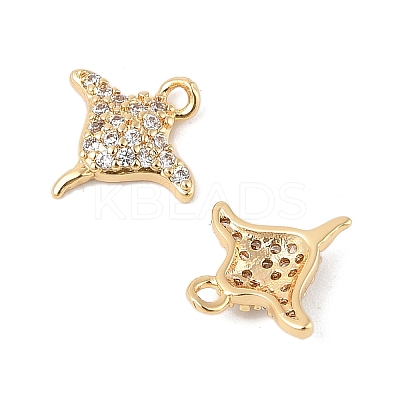 Brass Micro Pave Clear Cubic Zirconia Charms X-KK-R219-14G-1