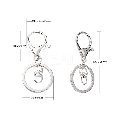 Iron Alloy Lobster Claw Clasp Keychain LS-KEYC-D016-S-1