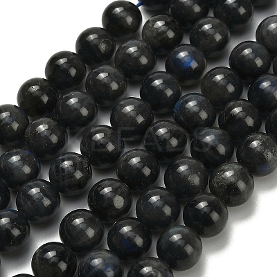 Natural Black Labradorite Beads Strands G-L642-B15-10mm-1