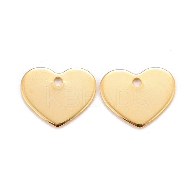 201 Stainless Steel Charms X-STAS-K217-76G-1