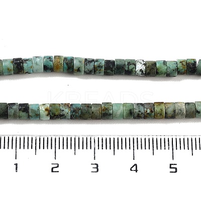 Natural African Turquoise(Jasper) Beads Strands X-G-A220-B03-01-1