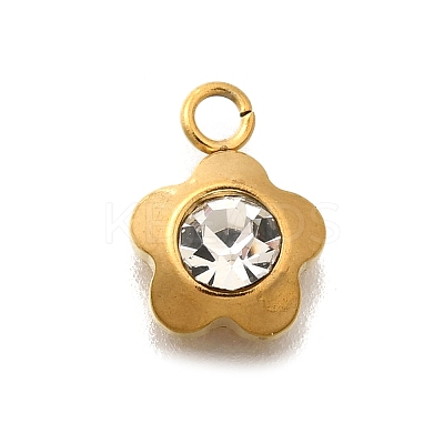 304 Stainless Steel Pave Cubic Zirconia Charms LS-STAS-D310-07G-02-1