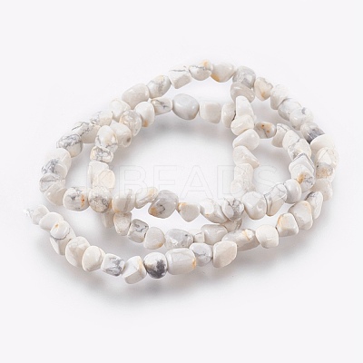 Natural Howlite Chips Beads Strands G365-34-1