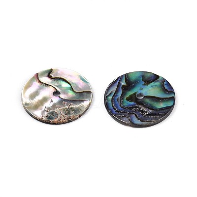 Natural Paua Shell Beads SSHEL-N040-20B-1