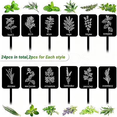 24Pcs Acrylic Plant Label DIY-SP0006-50-1