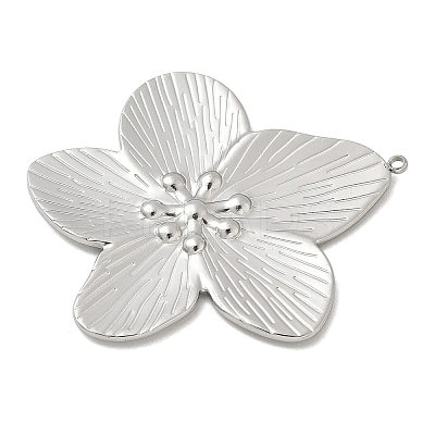 304 Stainless Steel Big Pendants STAS-D127-19B-P-1